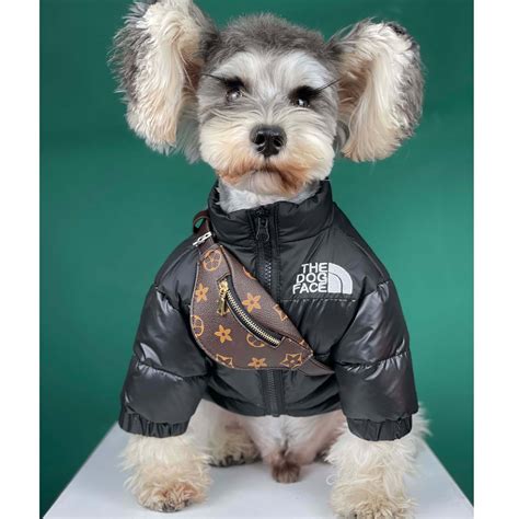 louis vuitton jacket for dogs|louis vuitton dog lead.